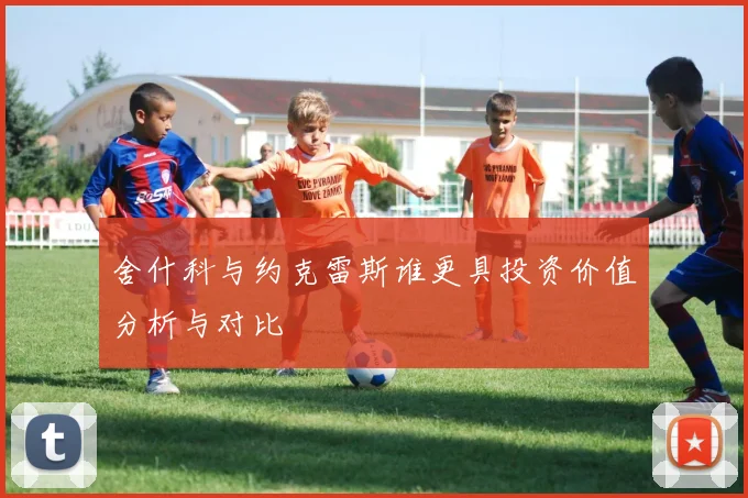 舍什科与约克雷斯谁更具投资价值分析与对比