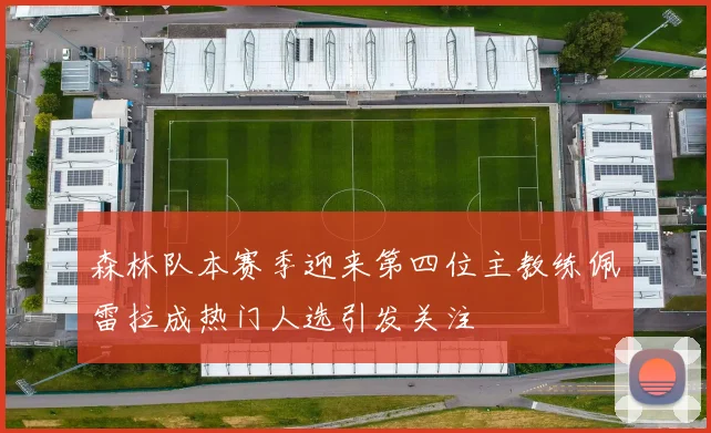 森林队本赛季迎来第四位主教练佩雷拉成热门人选引发关注