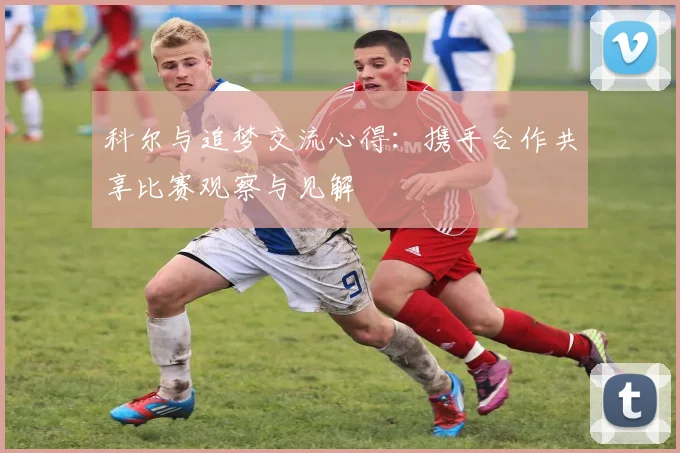 科尔与追梦交流心得：携手合作共享比赛观察与见解